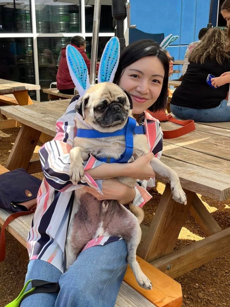 Woman sitting at a wooden picnic table, smiling, holding a pug dog dressed with blue bunny ears and a blue harness, in an outdoor setting with other people in the background.