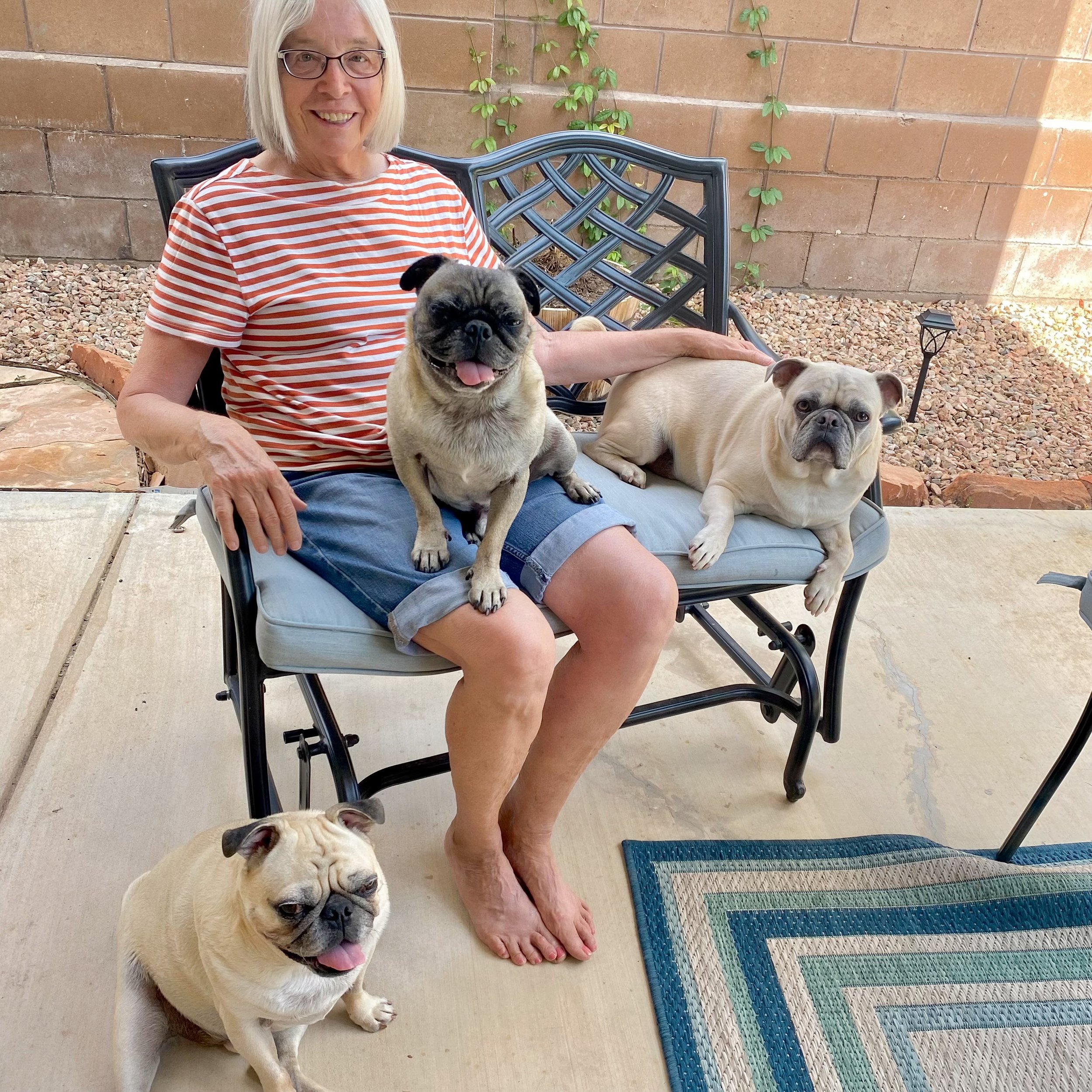 A woman with blonde hair and glasses sitting on a bench with four dogs: a pug on her lap, a light-colored pug lying next to her, and another pug sitting on the ground in front of the bench. They are outside in a patio area with a brick wall background.