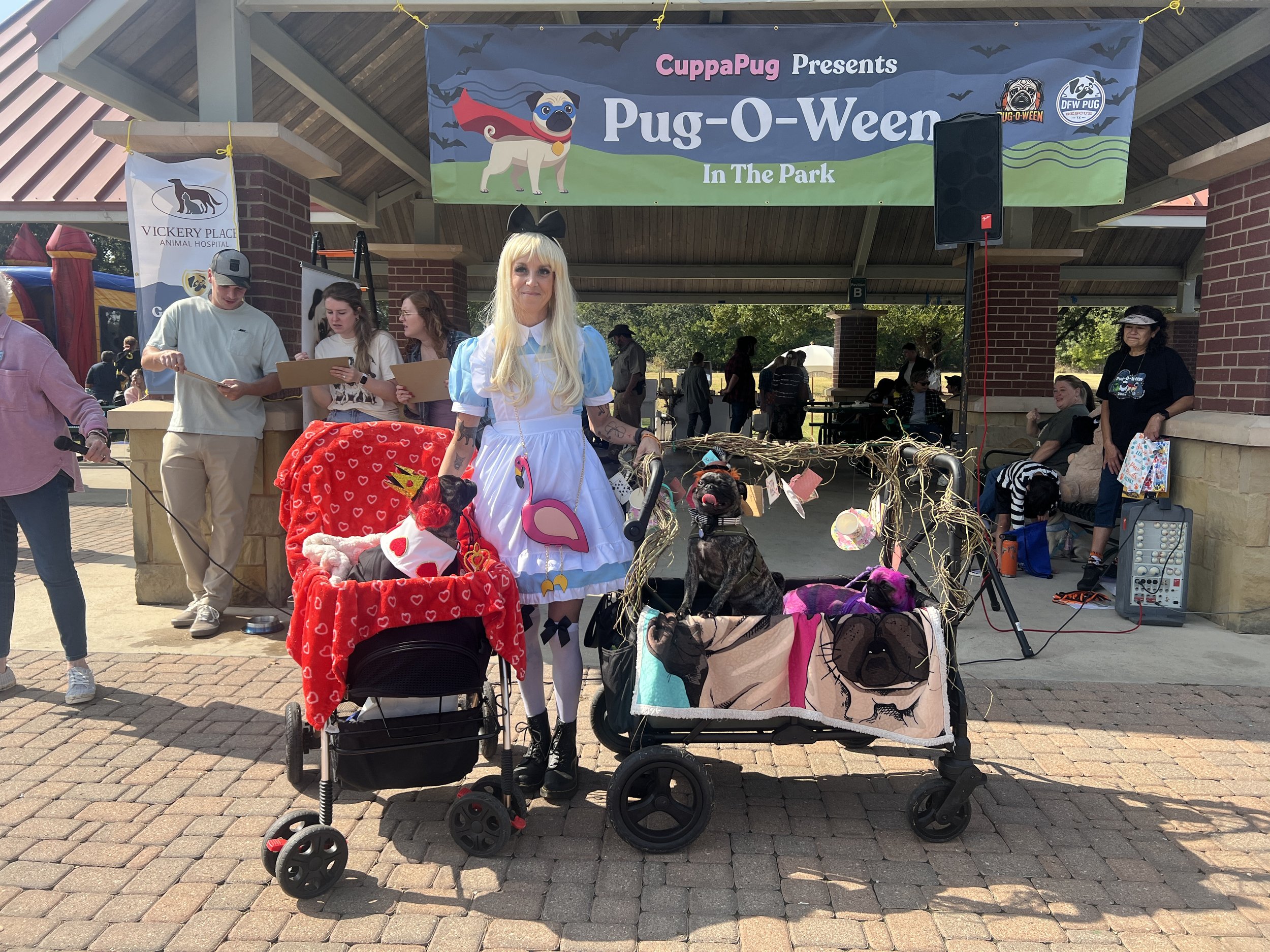 People with dogs in costumes at a park during Pug-O-Ween event, with a banner overhead that says 'CupaPug Presents Pug-O-Ween In The Park', booths, and an audience seated nearby.