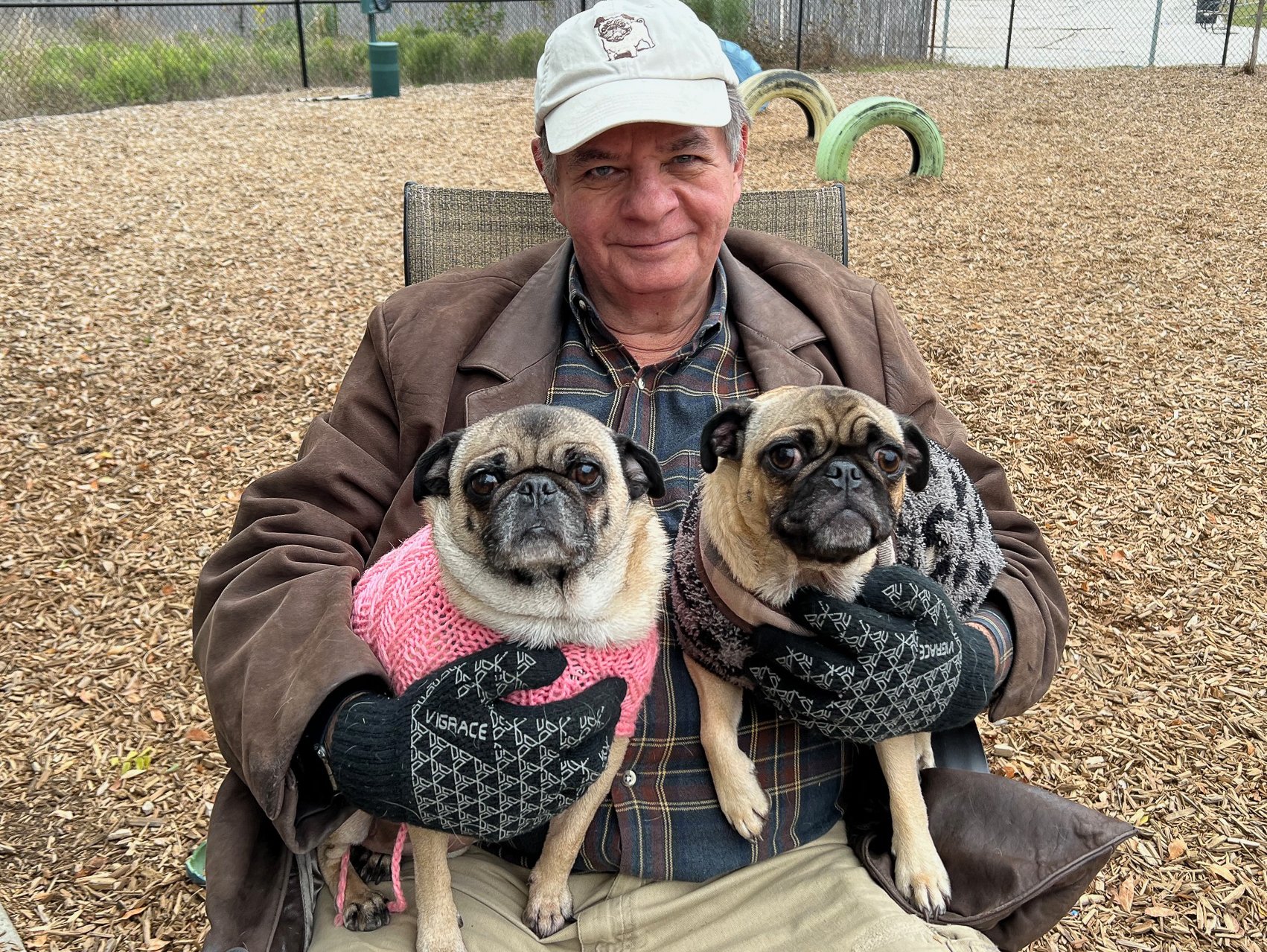A man in a baseball cap, jacket, and gloves sitting in a park, holding two pug dogs, one wearing a pink sweater and the other a black and gray sweater.