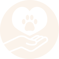 A hand holding a pet paw print inside a heart