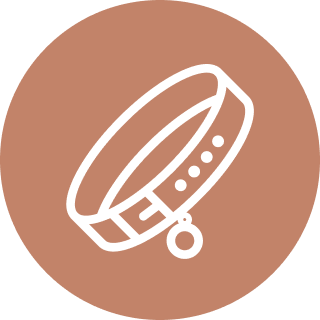 Adopt - Dog Collar Orange Icon
