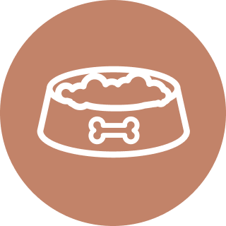 Give - Food Bowl Orange Icon