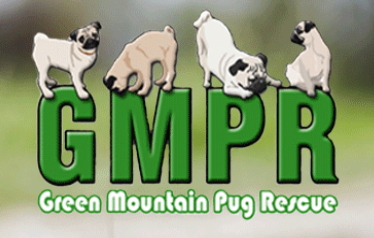 Logo for Green Mountain Pug Rescue featuring four pugs on a grassy background with the text 'GMP Res'